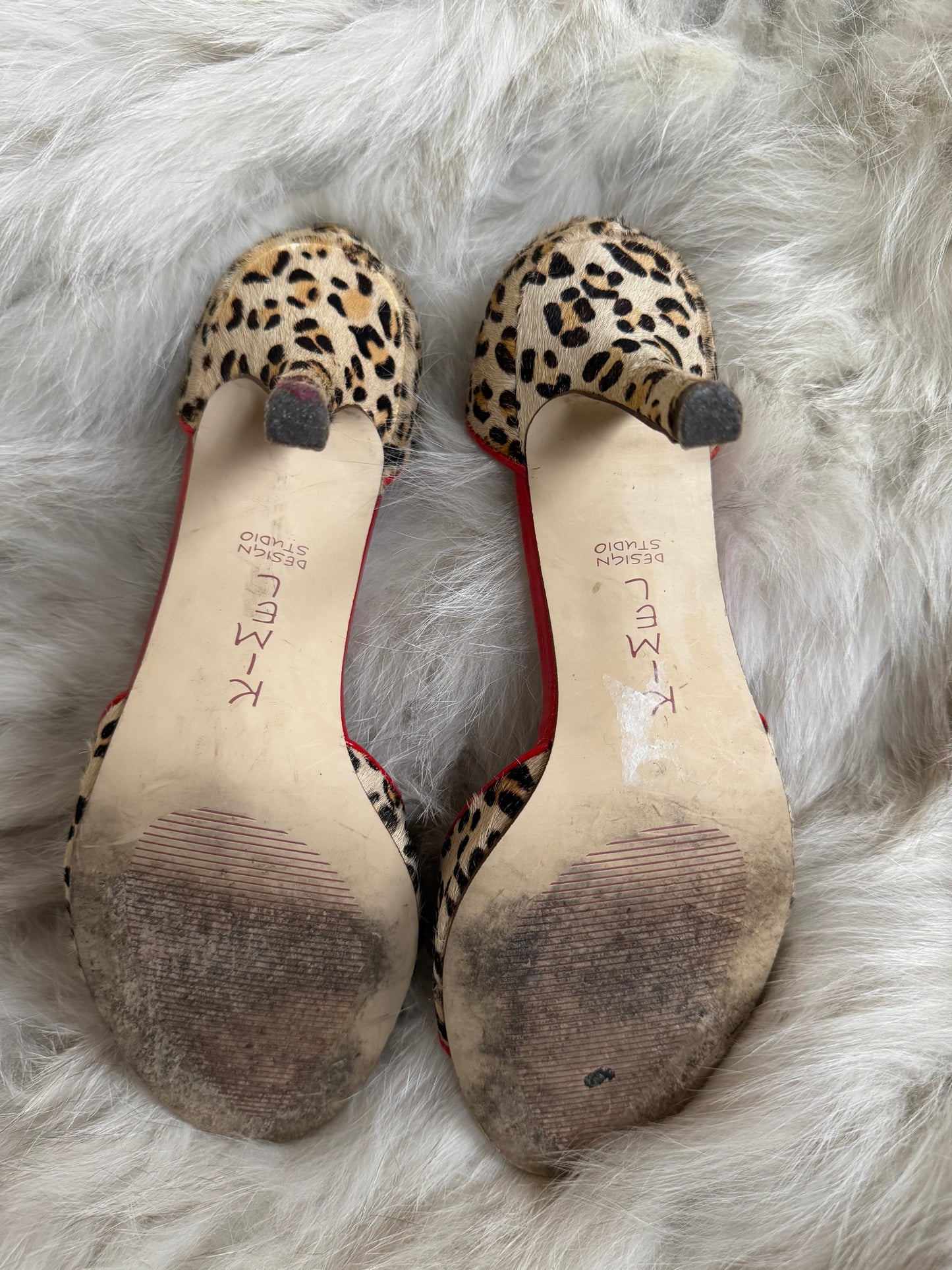 Design Studio Cheetah & Red Heels