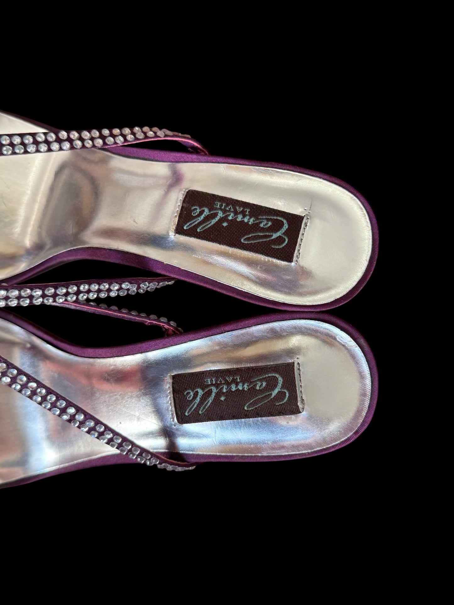 Capollini Paris Purple And Silver Heels