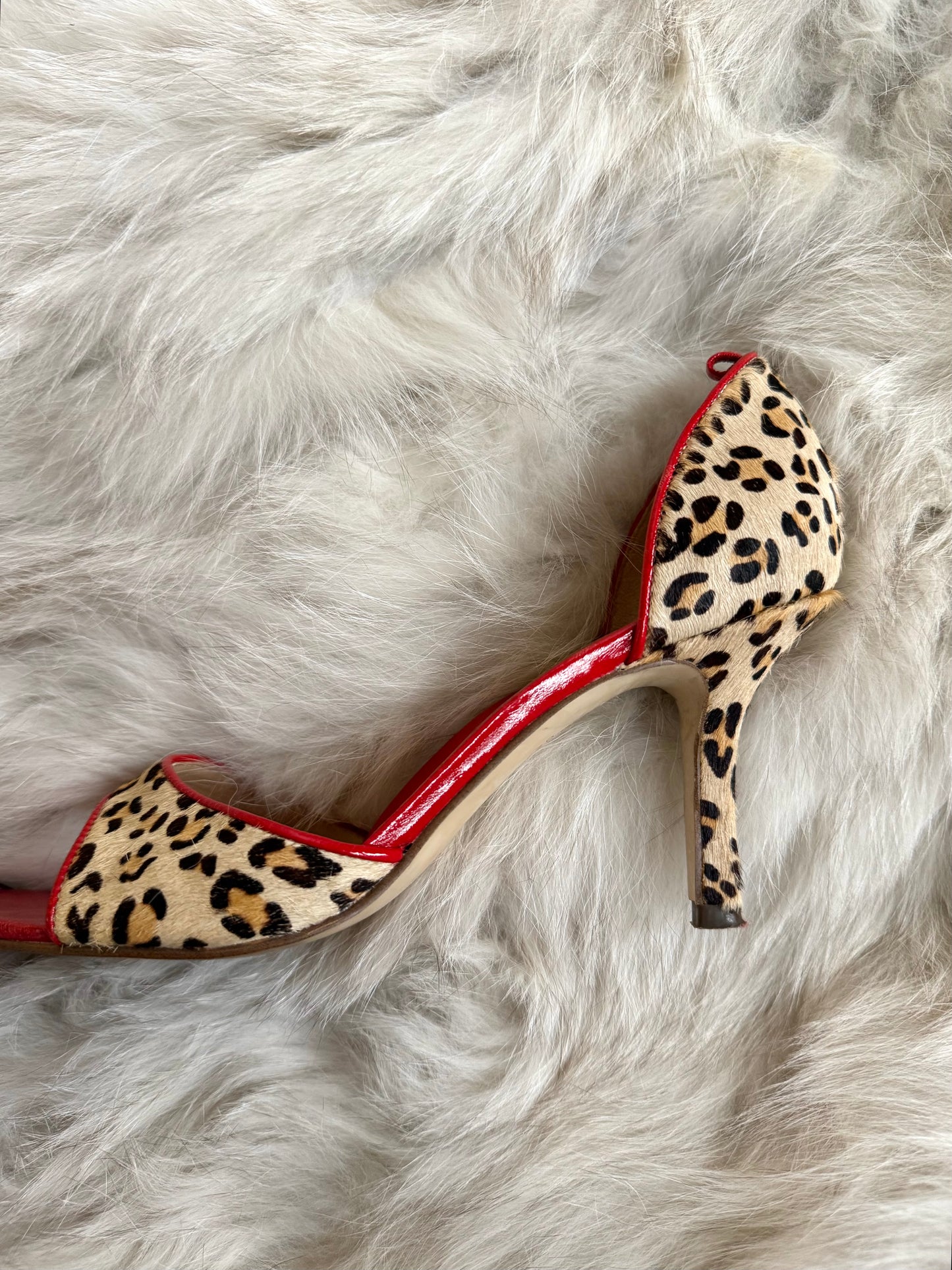 Design Studio Cheetah & Red Heels