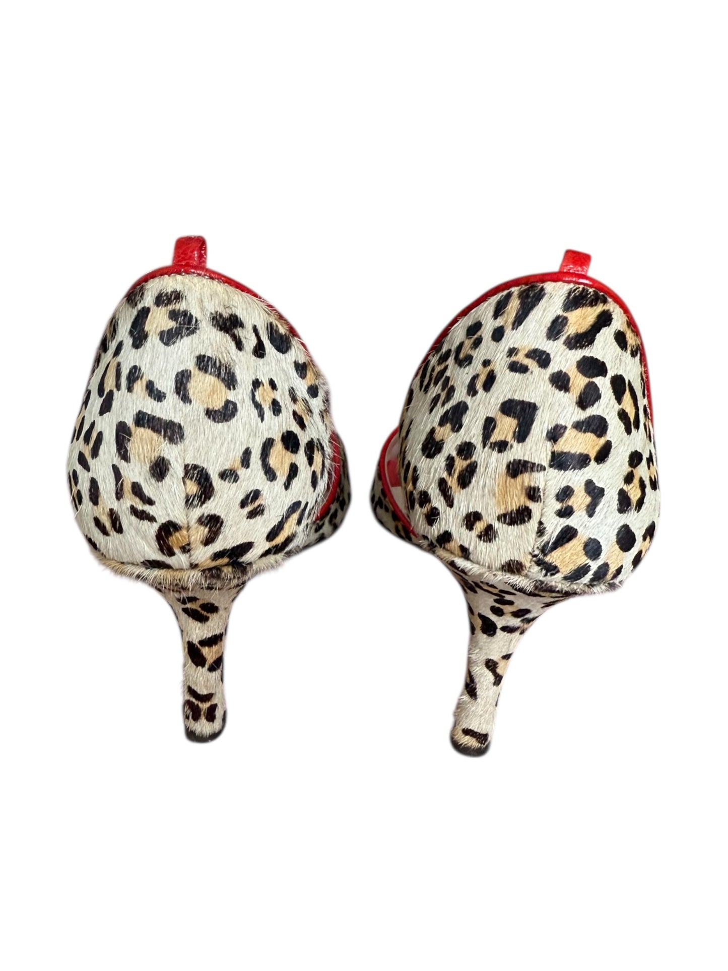Design Studio Cheetah & Red Heels
