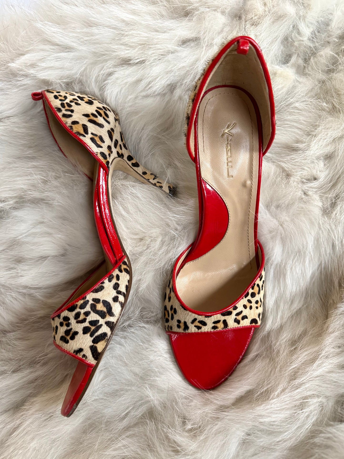 Design Studio Cheetah & Red Heels
