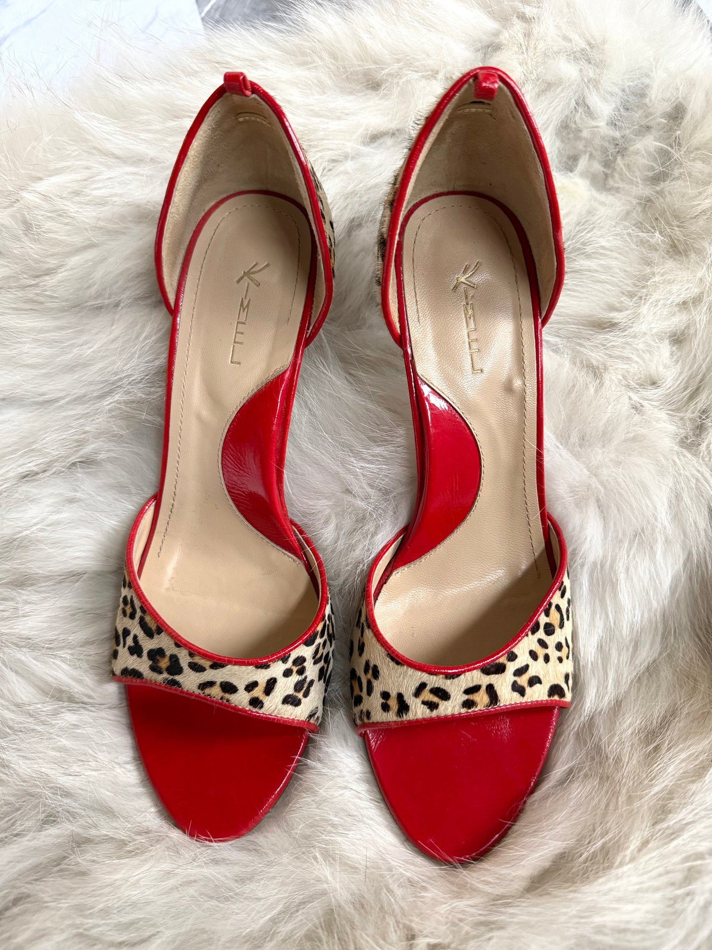 Design Studio Cheetah & Red Heels